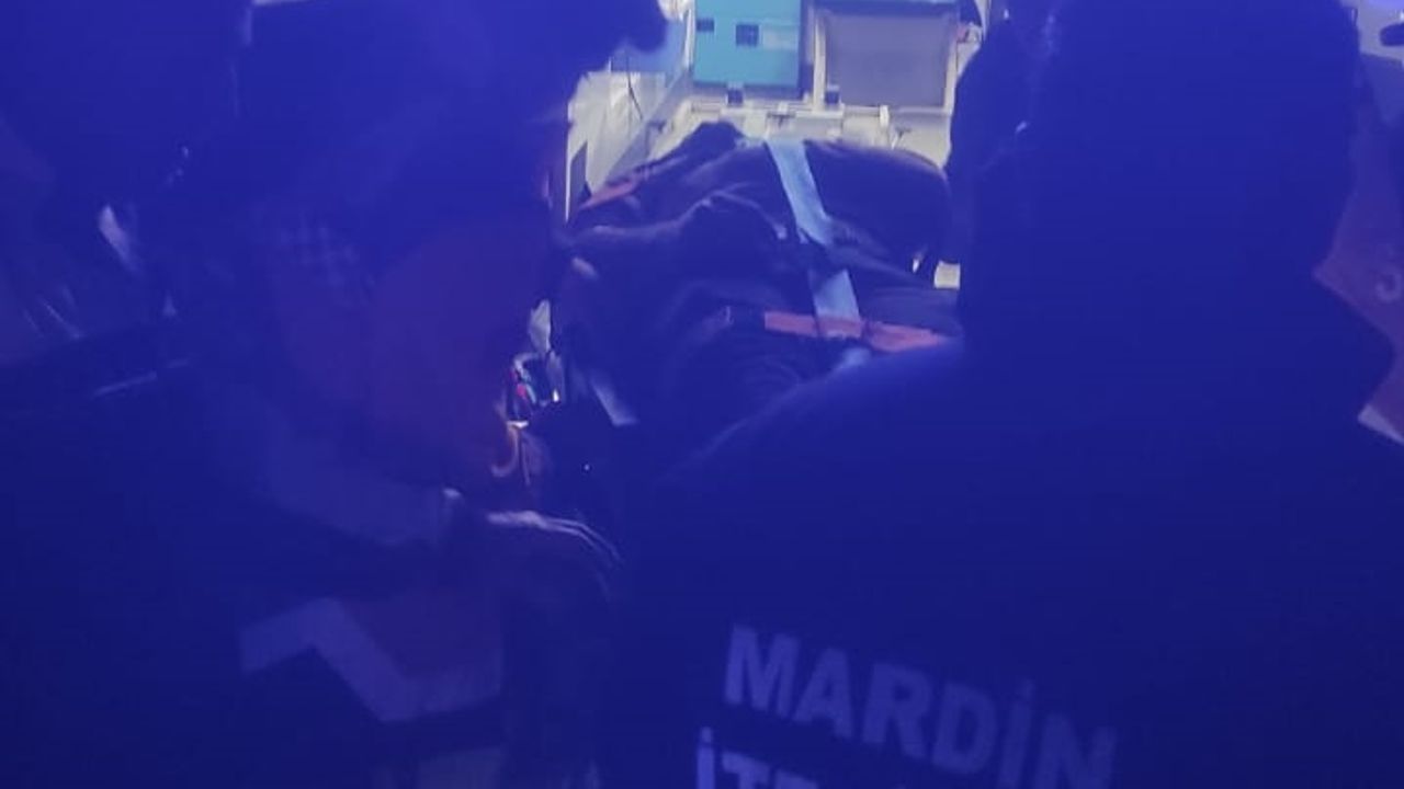 Mardin'de şarampole devrilen otomobildeki 5 kişi yaralandı