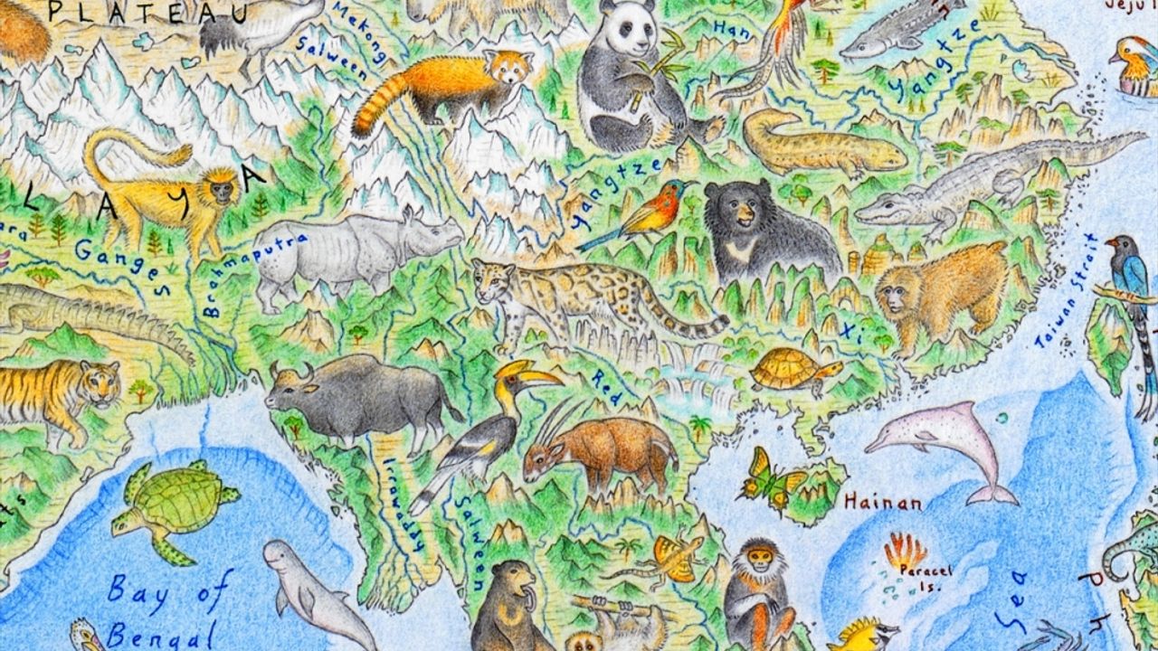 Yeni Zelandalı sanatçı vahşi hayvanları dünya haritası üzerinde resmetti