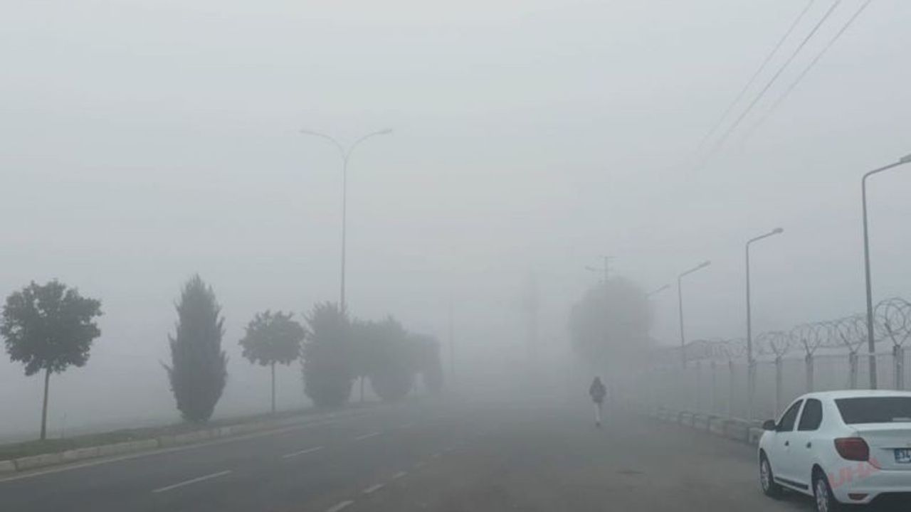 Şanlıurfa'da yoğun sis etkili oluyor