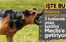 Yılmaz Tunç'tan sokak köpeği açıklaması: İnsanımızın can emniyeti başta gelen görevimiz