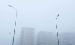 Urfa'da yoğun sis sürücülere zor anlar yaşattı