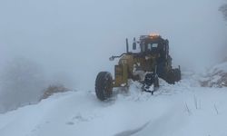 Batman'da kardan kapanan 2 köy yolu ulaşıma açıldı