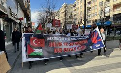 Diyarbakır ve Siirt'te sağlık çalışanlarından İsrail'e karşı "sessiz yürüyüş"