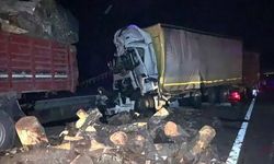 Şanlıurfa'da iki tırın çarpıştığı kazada sürücüler yaralandı