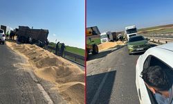 Şanlıurfa’da seyir halindeki kamyonun kapağı açıldı! Buğdaylar asfalta döküldü