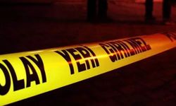 Kan donduran olay: Tüfekle oynayan 9 yaşındaki çocuk, 5 yaşındaki komşu kızının ölümüne neden oldu