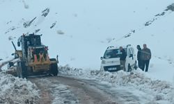 Siirt'te karda mahsur kalan 2 araç kurtarıldı