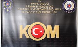 Şırnak'ta asayiş ve kaçakçılık operasyonlarında 27 şüpheli yakalandı