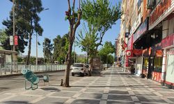 Şanlıurfa’da yatırım yapmak isteyenler dikkat: Atatürk Bulvarına 50 metre! İcradan satılık dükkan