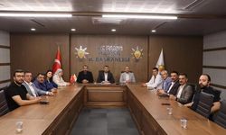 AK Parti Mardin İl Başkanı Alma Artuklu Belediye Meclis üyeleri ile toplantı yaptı
