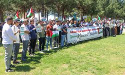 Diyarbakır'da üniversite öğrencileri Filistin'e destek yürüyüşü düzenledi