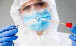 Yeni bir pandeminin eli kulağında: Ölümcül "mantar salgını" riski artıyor