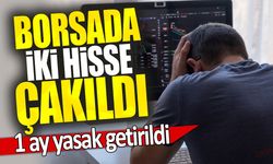 Borsada iki hisse çakıldı: 1 ay yasak getirildi