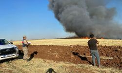 Şanlıurfa'da Anız Yakan 14 Kişi Hakkında Yasal İşlem Yapıldı