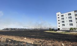 Şanlıurfa'da çıkan anız yangınında yaklaşık 200 ton saman yandı