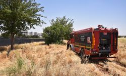 Şanlıurfa'da çıkan yangında yaklaşık 40 dönüm buğday ekili alan yandı