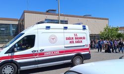 Şanlıurfa'da duvara çarpan aracın sürücüsü yaralandı