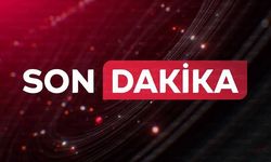 Şanlıurfa'da Trajik Kayıp: Hasat Sırasında Buğday Yığınının Altında Kaldı