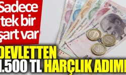 Devletten 1.500 TL harçlık adımı: Sadece tek bir şart var