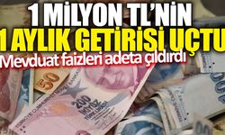 1 milyon TL'nin 1 aylık getirisi uçtu! Mevduat faizleri adeta çıldırdı