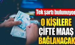 O kişilere çifte maaş bağlanacak. Tek şartı bulunuyor