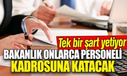 Bakanlık onlarca personeli kadrosuna katacak! Tek bir şart yetiyor