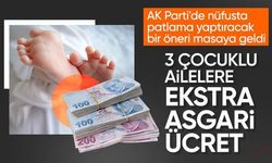 AK Parti'den nüfusu artıracak teklif: Üç çocuğa asgari ücret kadar destek