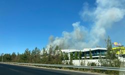 GÜNCELLEME - Gaziantep'te çıkan orman yangınına müdahale ediliyor