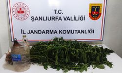 Şanlıurfa'da uyuşturucu operasyonunda 1 şüpheli yakalandı