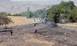 Şırnak'ta çıkan örtü yangını söndürüldü