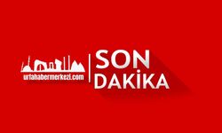 Şanlıurfa'da Feci Kaza: Hız İbresinin Takılı Kaldığı Çarpışmada 7 Yaralı