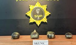 ŞANLIURFA’DA 4 KİLO 350 GRAM SKUNK MADDESİ ELE GEÇİRİLDİ