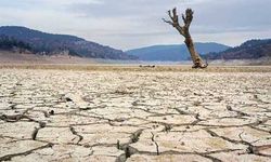 Şanlıurfa'da Kuraklık Tehlikesi: Acil Önlemler Alınmalı