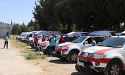 Şanlıurfa'da Kayıp Çocuklar Bulundu: Üç Aileye Müjdeli Haber