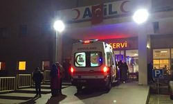 Şanlıurfa'da Silahlı Kavga: Akraba Aileler Arasında Gerilim