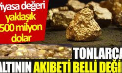 Tonlarca altının akıbeti belli değil: Piyasa değeri yaklaşık 500 milyon dolar