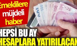 Emeklilere müjdeli haber: Hepsi bu ay hesaplara yatırılacak