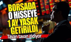 Borsada o hisseye 1 ay yasak getirildi: Tavan tavan gidiyor