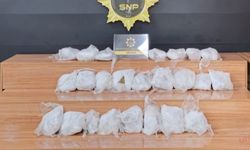 Şanlıurfa’da 13 kilo 500 gram sentetik skunk ele geçirildi