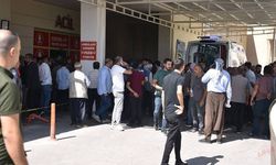 Şanlıurfa'da 3 kişinin öldüğü kavgaya ilişkin 19 zanlı yakalandı