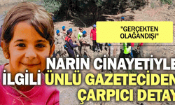 Narin cinayetiyle ilgili ünlü gazeteciden çarpıcı detay: "Gerçekten olağandışı"