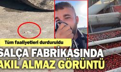 Salça fabrikasında akıl almaz görüntü! Tüm faaliyetleri durduruldu