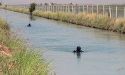 Harran’da sulama kanalına düşen 3 yaşındaki çocuk hayatını kaybetti