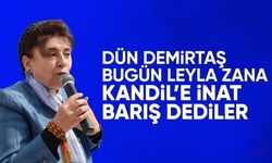 Leyla Zana sessizliğini bozdu: Barışı gözleyenlere selam geldi, gözümüz aydın