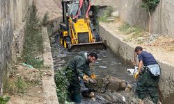 Cizre'de su taşkınlarının önüne geçmek için çalışma