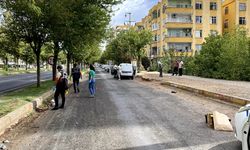 Şanlıurfa'da hafif ticari aracın çarptığı yaya öldü