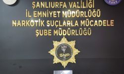 Şanlıurfa’da 1 kilo 250 gram skunk maddesi ele geçirildi