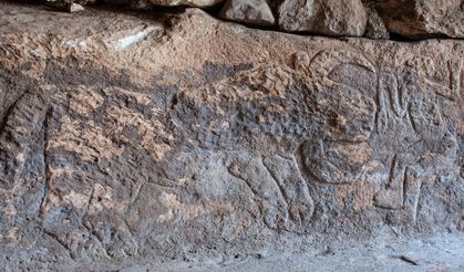 Şanlıurfa’da tarihi keşif: Sayburç'ta leoparlarla süslenmiş neolitik sahne
