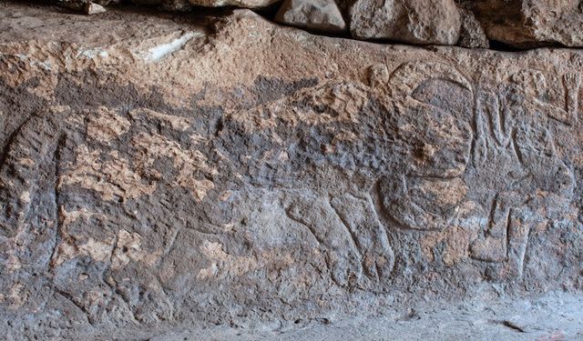 Şanlıurfa’da tarihi keşif: Sayburç'ta leoparlarla süslenmiş neolitik sahne