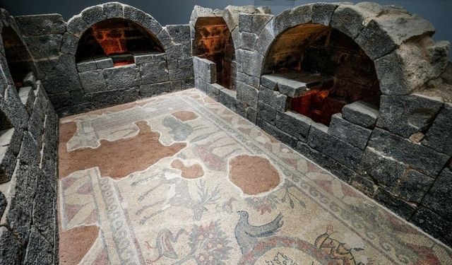 Şanlıurfa’da antik mezardan doğan hikâye: Yolbilen Mozaiği